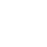 the verge